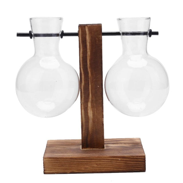 VKTECH Terrarium Hydroponic Plant Vases