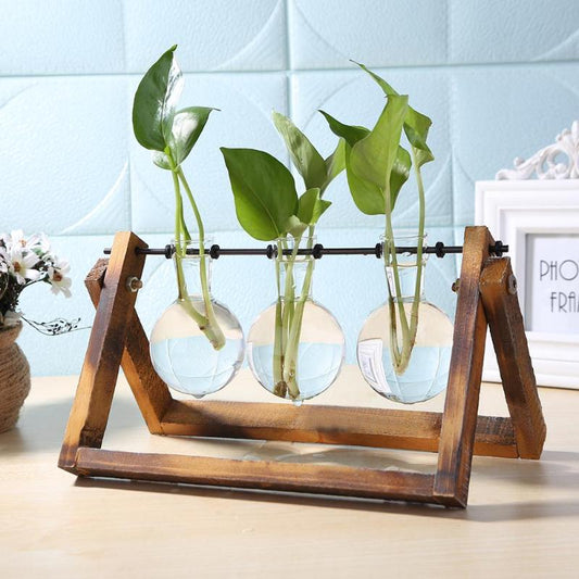 VKTECH Terrarium Hydroponic Plant Vases