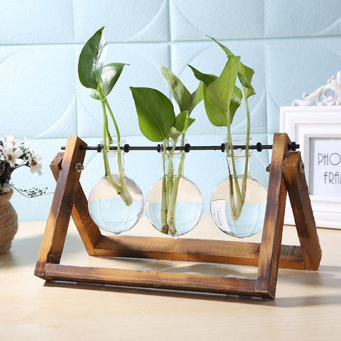 VKTECH Terrarium Hydroponic Plant Vases