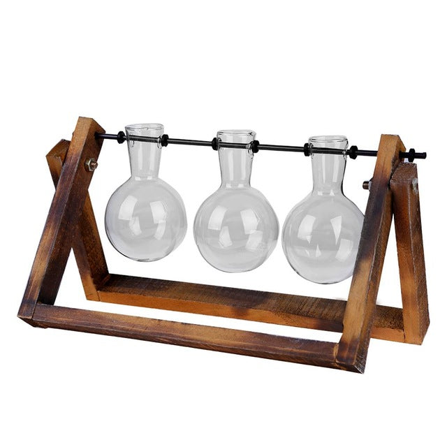 VKTECH Terrarium Hydroponic Plant Vases